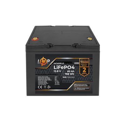 Акумулятор LP LiFePO4 12,8V - 60 Ah (768Wh) (BMS 80A/40А) пластик LCD для ДБЖ 4110 фото
