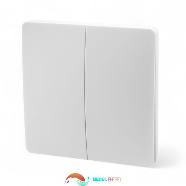 Безпровідний вимикач Tervix Pro Line RF 433 MHz Switch (2 клавіші)  фото